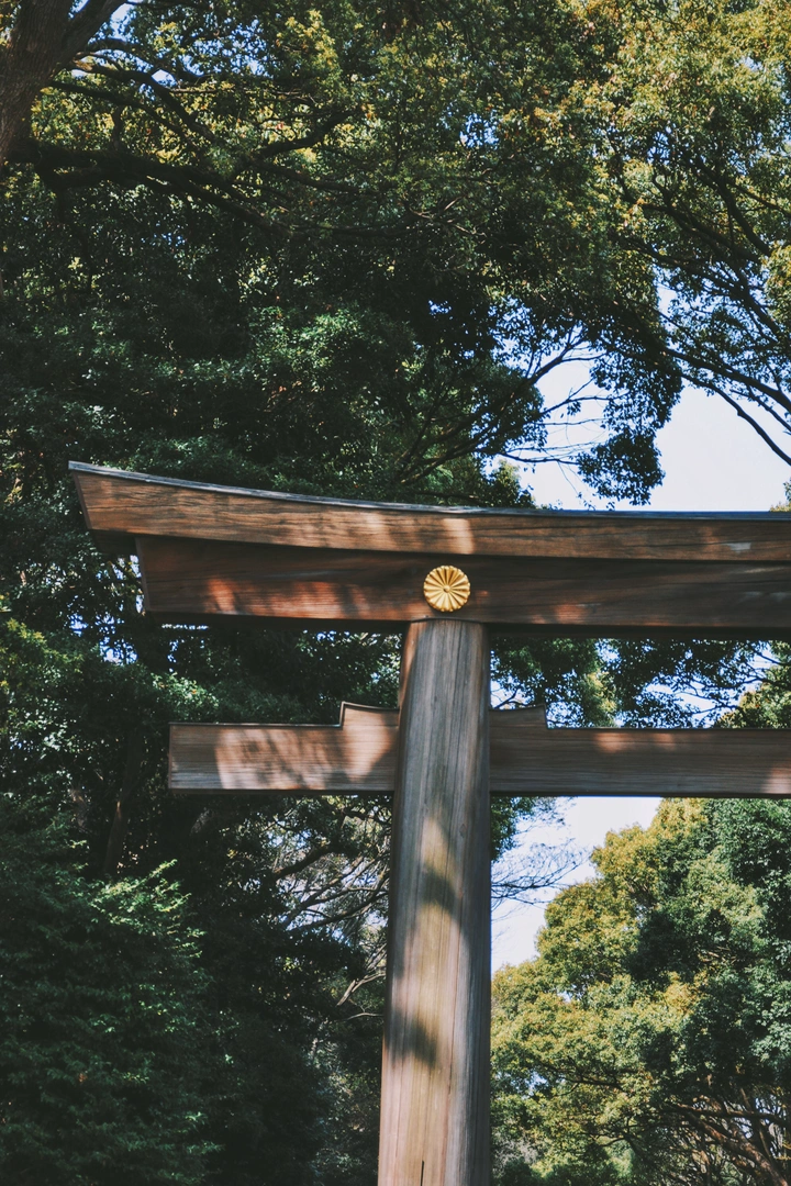 明治神宫大鸟居