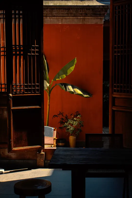 一个小房间 里面有一棵香蕉树、一张桌子和一张椅子 放在一扇门前面。