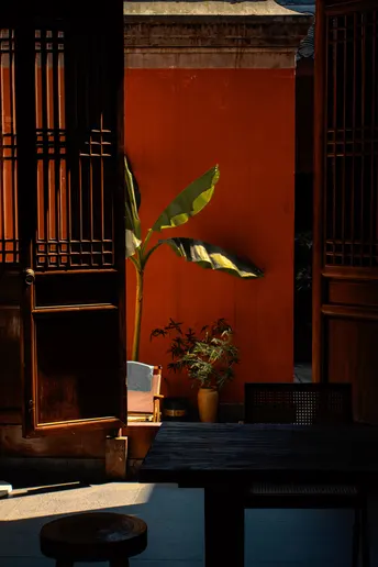 一个小房间 里面有一棵香蕉树、一张桌子和一张椅子 放在一扇门前面。