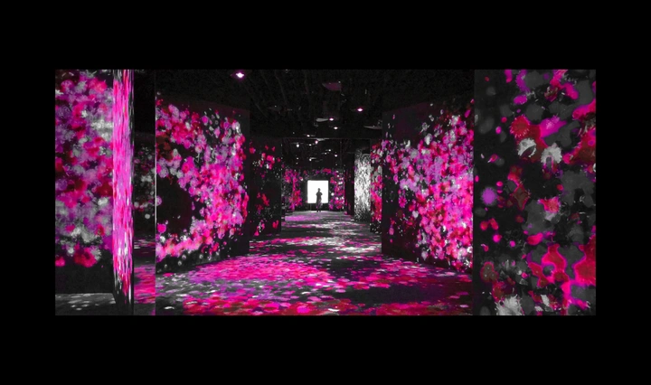 team lab—色•感（一）