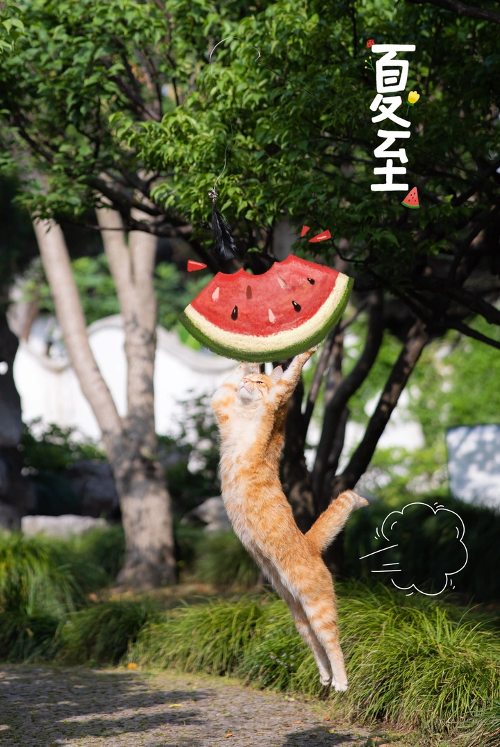 夏至