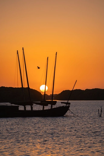 夕阳西下 落日余晖洒在一片广阔的水域上 一只鸟儿在空中翱翔。