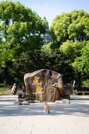 一座公园里的巨大岩石雕像