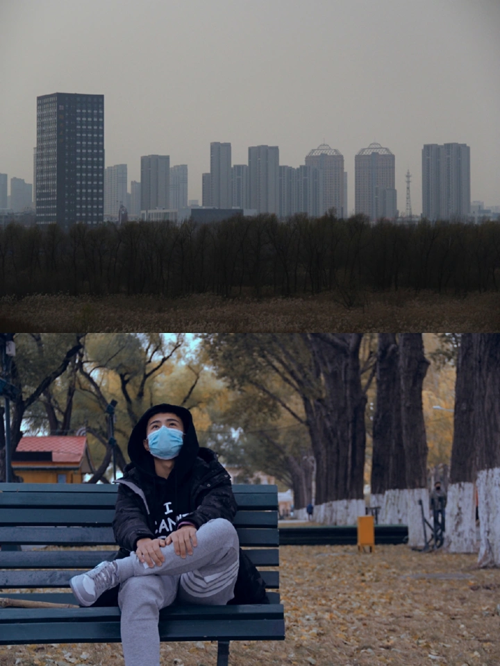 自古逢秋悲寂寥