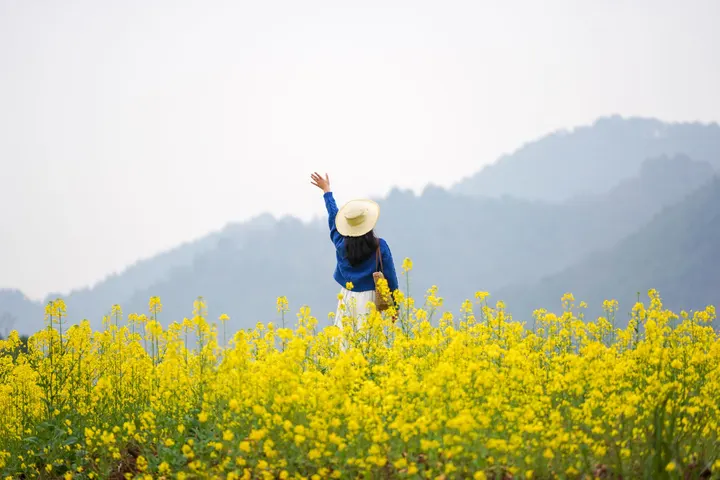 去有风的地方感受春天