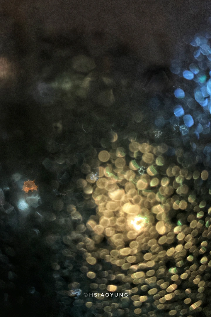 雨天、烟花与灯光