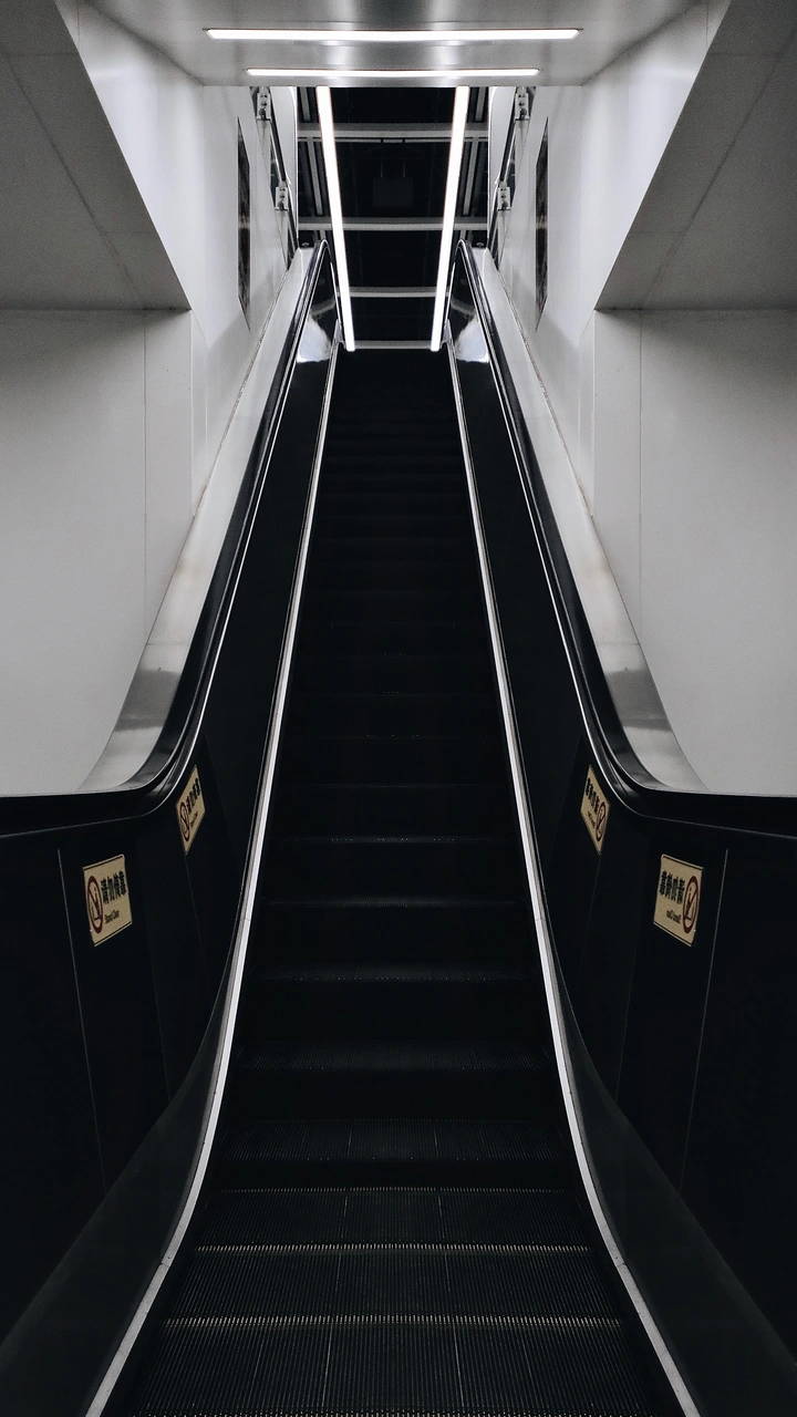 态拟