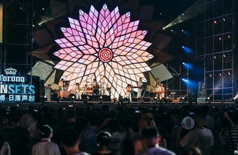 在音乐会或节日演出中的一大群人