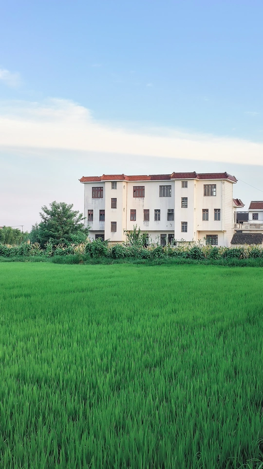 一片草地上的大型建筑