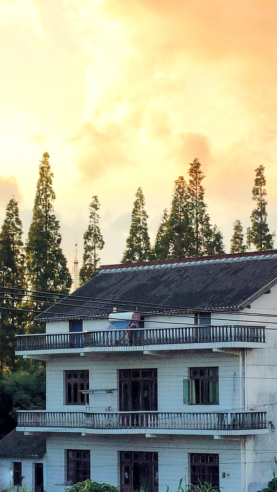 一座古老的白色房子坐落在一片大树林前面