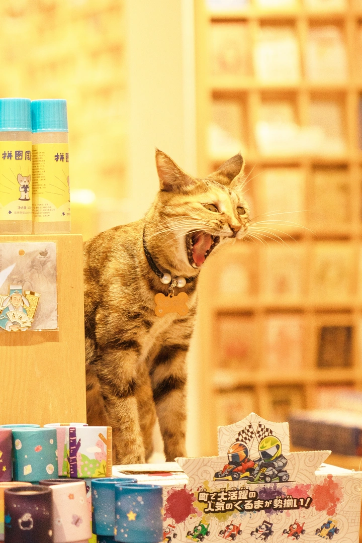猛虎咆哮！