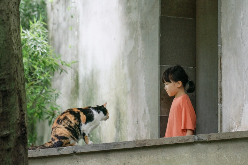 一个小女孩正在窗口向外看 一只猫坐在建筑的外部阳台边缘。