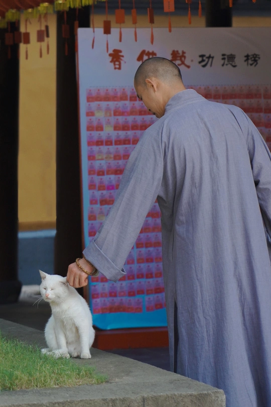 一个抱着白猫的男人