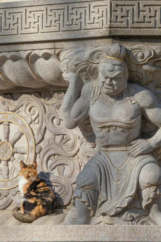 一只猫坐在寺庙墙壁上的雕像前