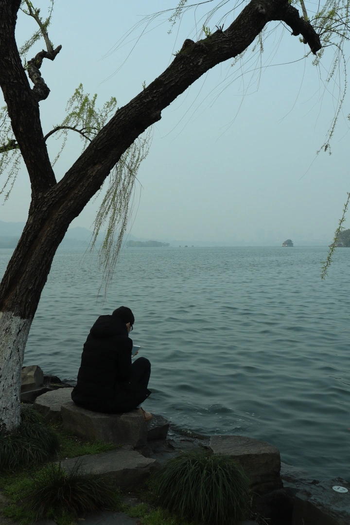 风景手机独好