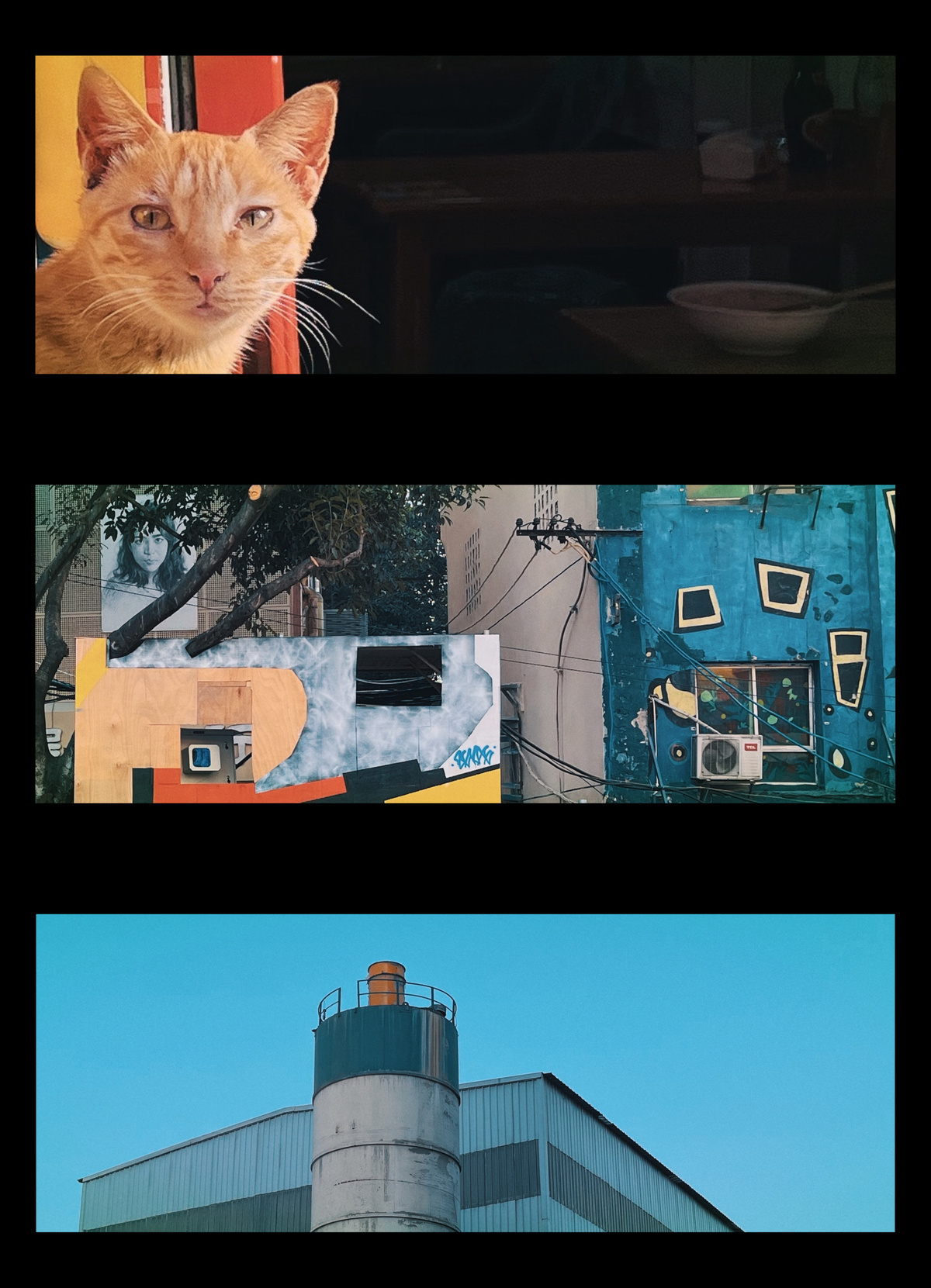 一系列照片展示了一只橙色猫和工业建筑。