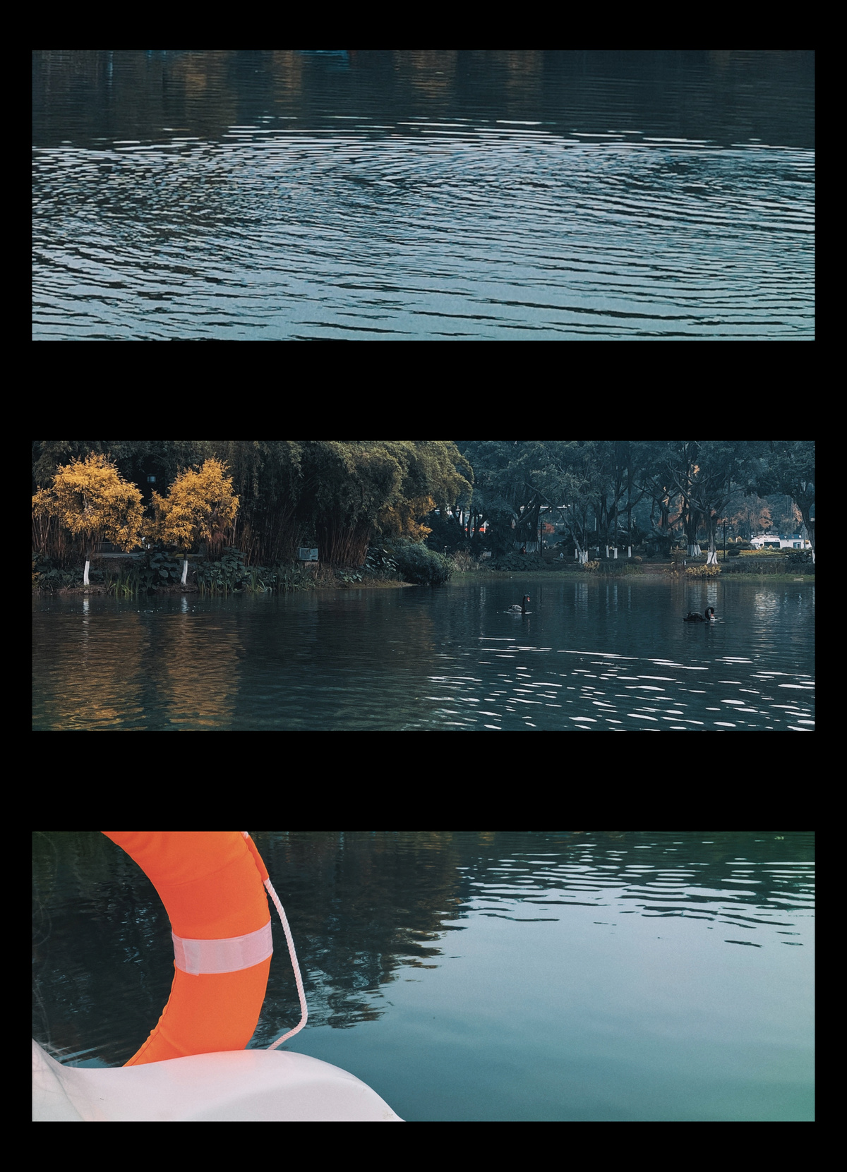 一系列照片展示了一个湖泊或水域以及树木。