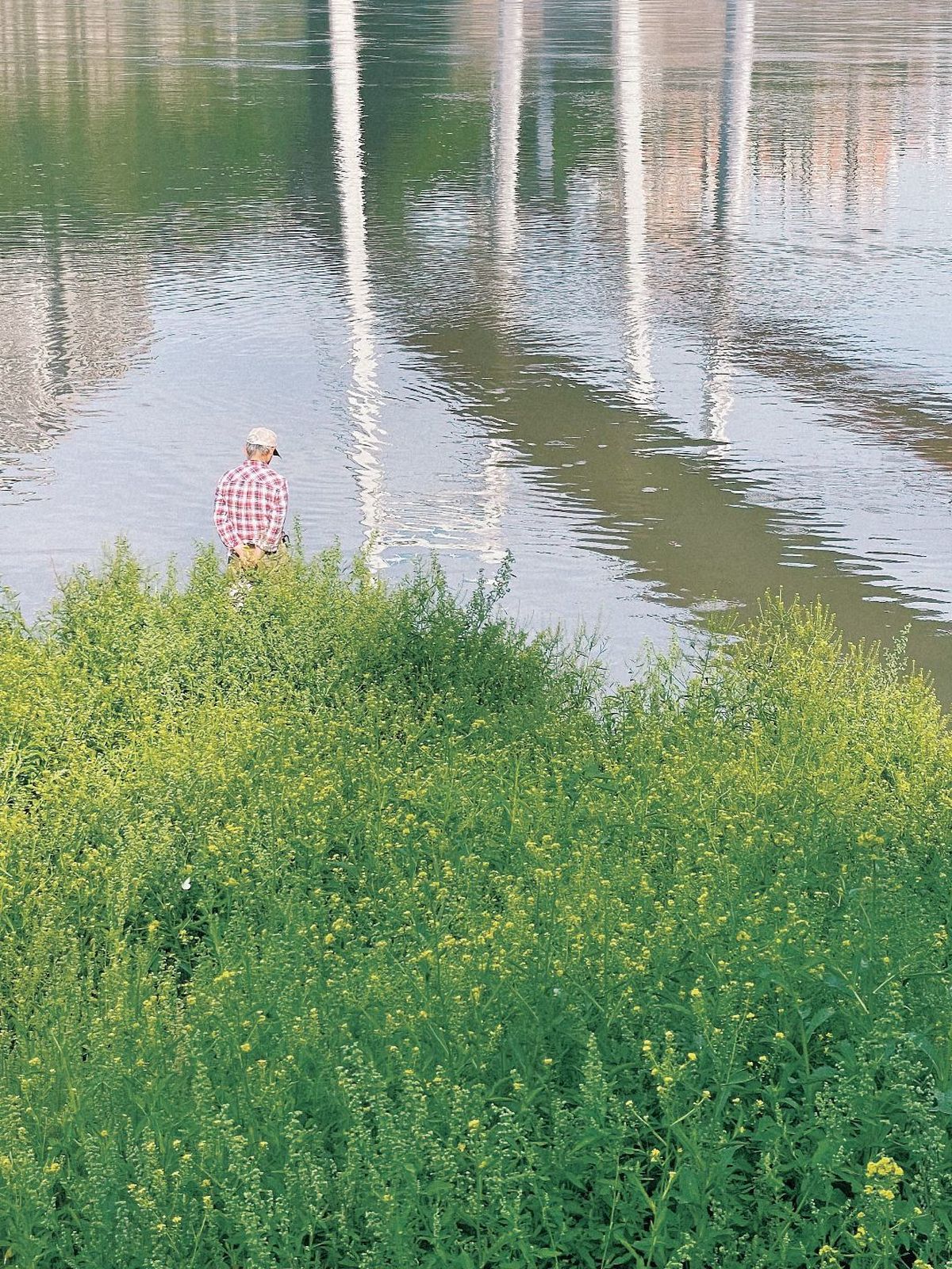 一个男人站在河里的水面上寻找鱼。