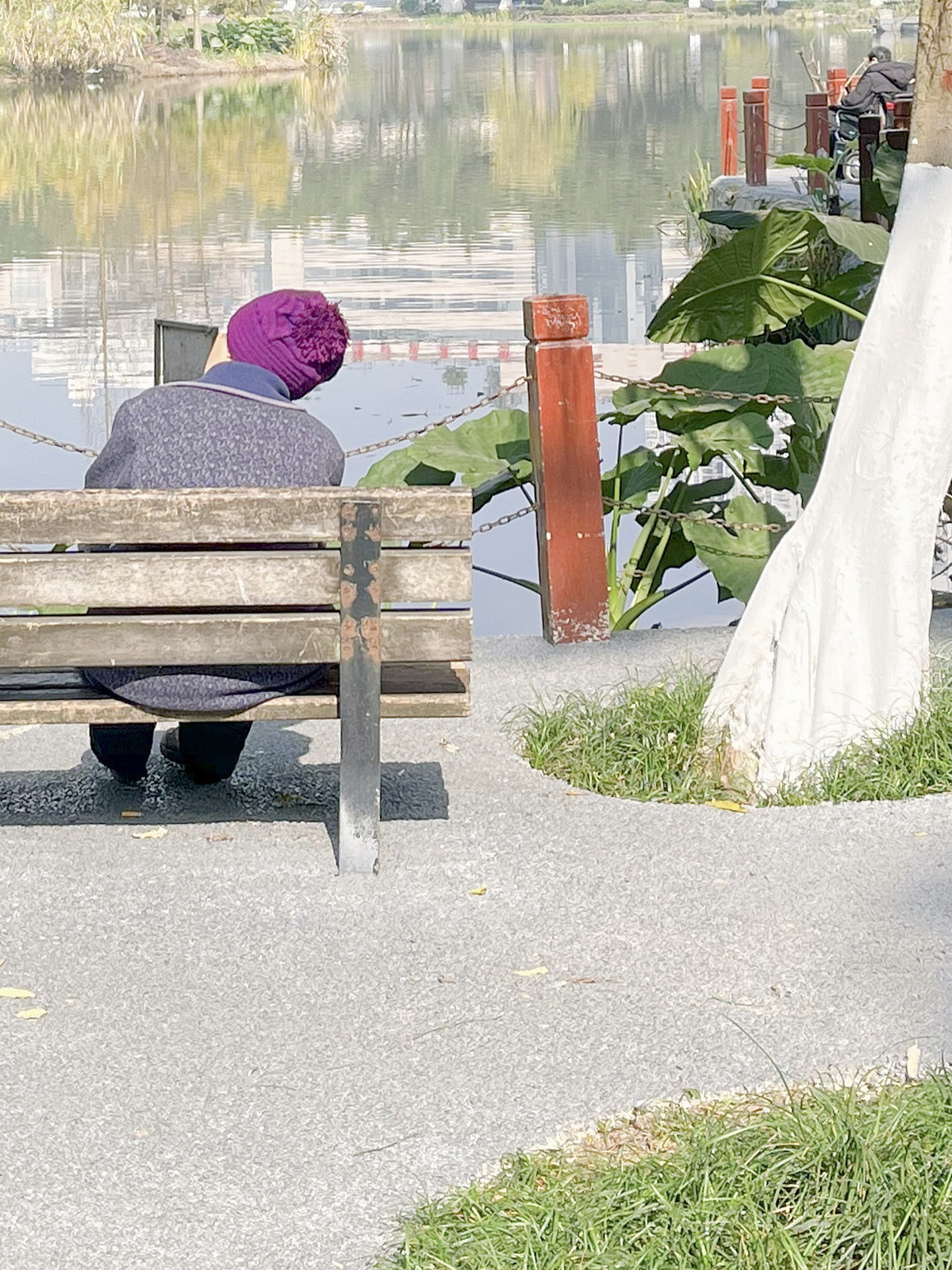 一些人在一个长椅上 一个男性和一个女性 面对着一个水塘。