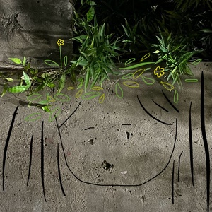 水泥上写的涂鸦 长着绿草和黄花的