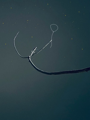 夜空中飞行的风筝 前景有星星和树枝